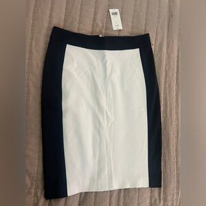 Banana Republic Pencil Skirt